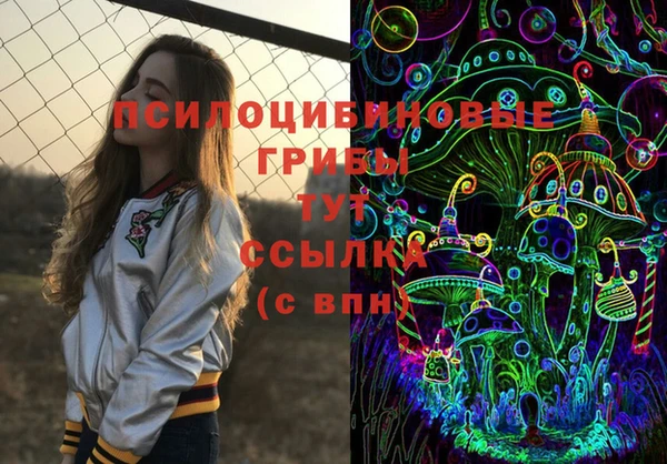 крисы Алексеевка
