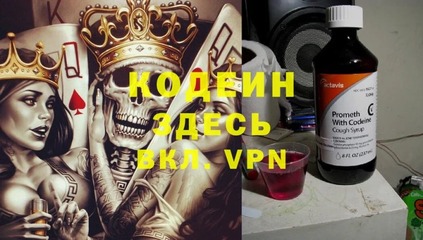 ECSTASY Алзамай