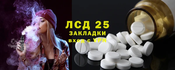ECSTASY Алзамай