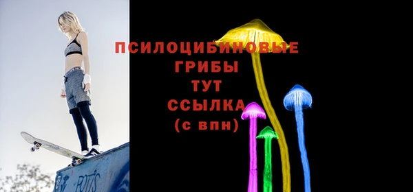 крисы Алексеевка