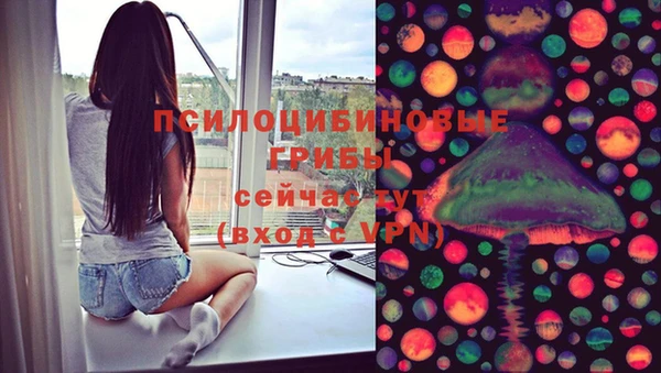 крисы Алексеевка