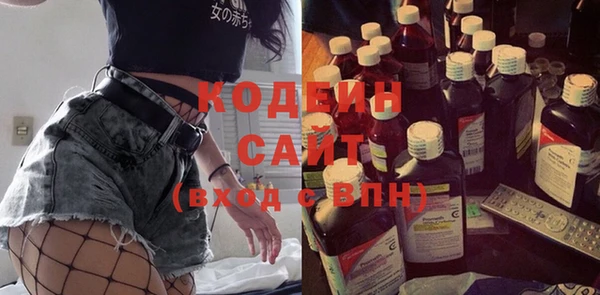 ECSTASY Алзамай